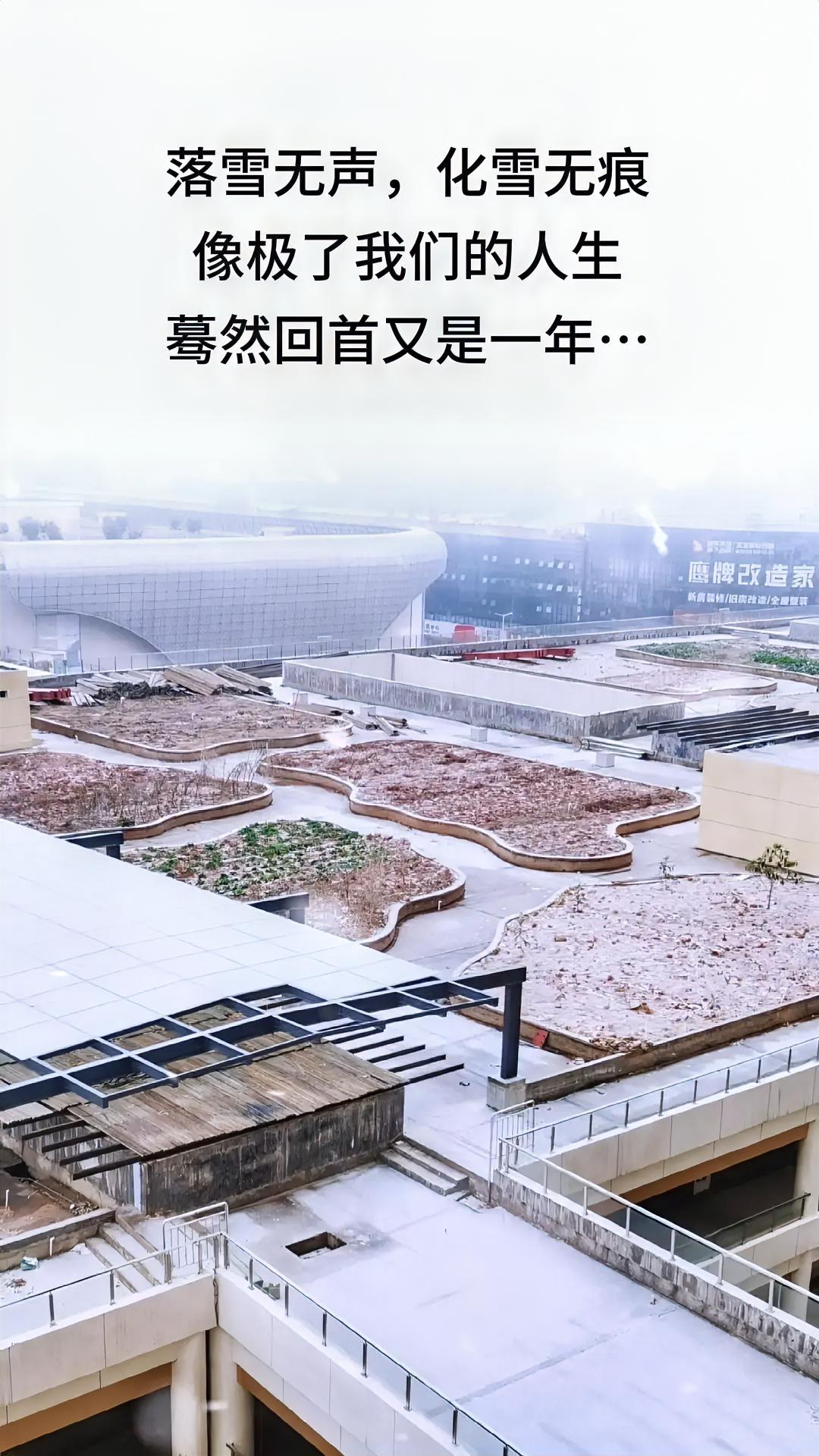 寒冬过后必有暖阳，这是永恒不变的道理，人可以度过最无望的日子，抖落身上的雪雨，重