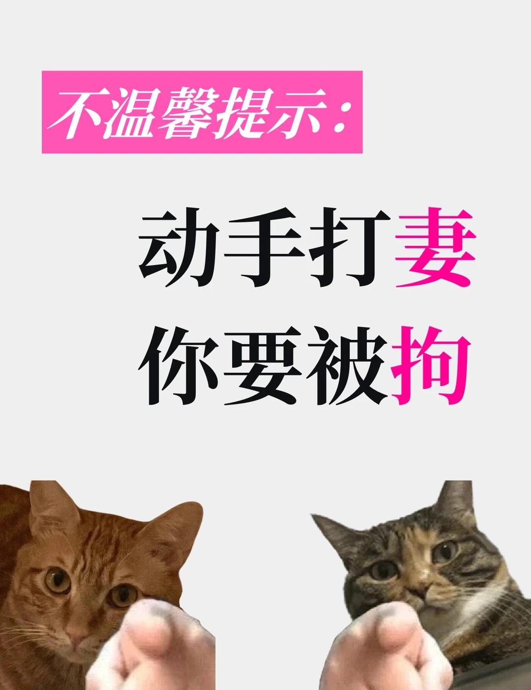 动手打妻，你要被拘👉
动手就是暴力，别扯家不家。
近期小泽就看到有一起家暴行为