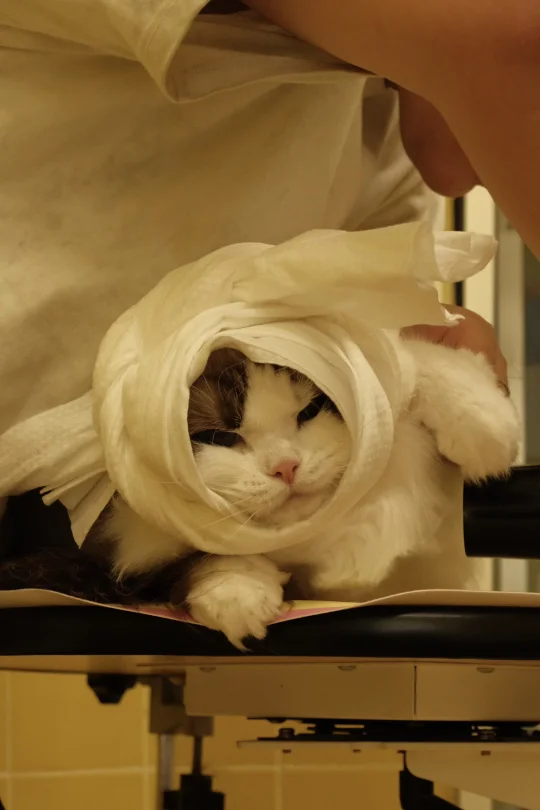 洗澡又被夸奖了呢