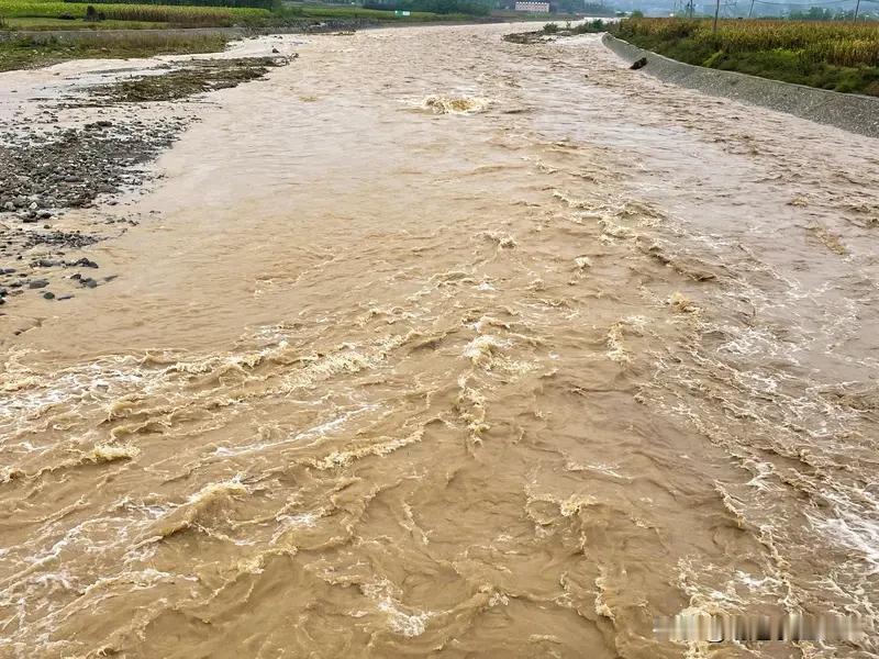 四川这场强降雨，着实让大家“猝不及防”，好在提前转移群众这一举措，温暖人心！
7