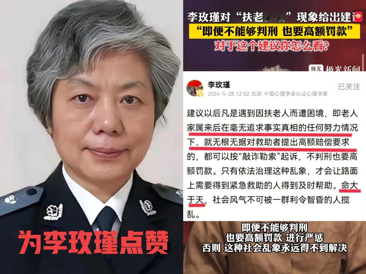 2024 年，李玫瑾教授抛出个建议，那可是直接在社会舆论里“炸开了锅”！啥建议呢