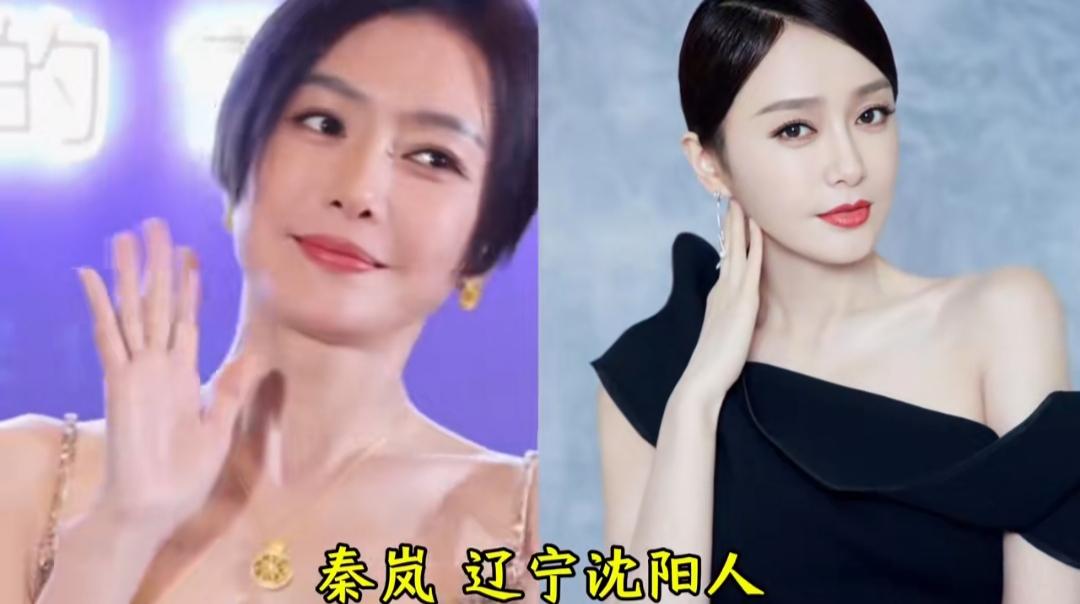 不少气质出众的女明星都来自东北黑土地，一方水土养一方佳人。她们既有北方姑娘的爽朗