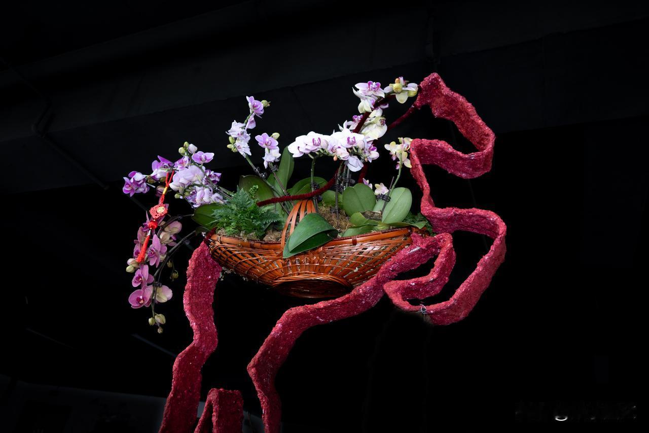 深圳龙岗花展，一场不容错过的春日之约
【诗与图】踏入深圳龙岗蝴蝶兰艺术展厅，仿若