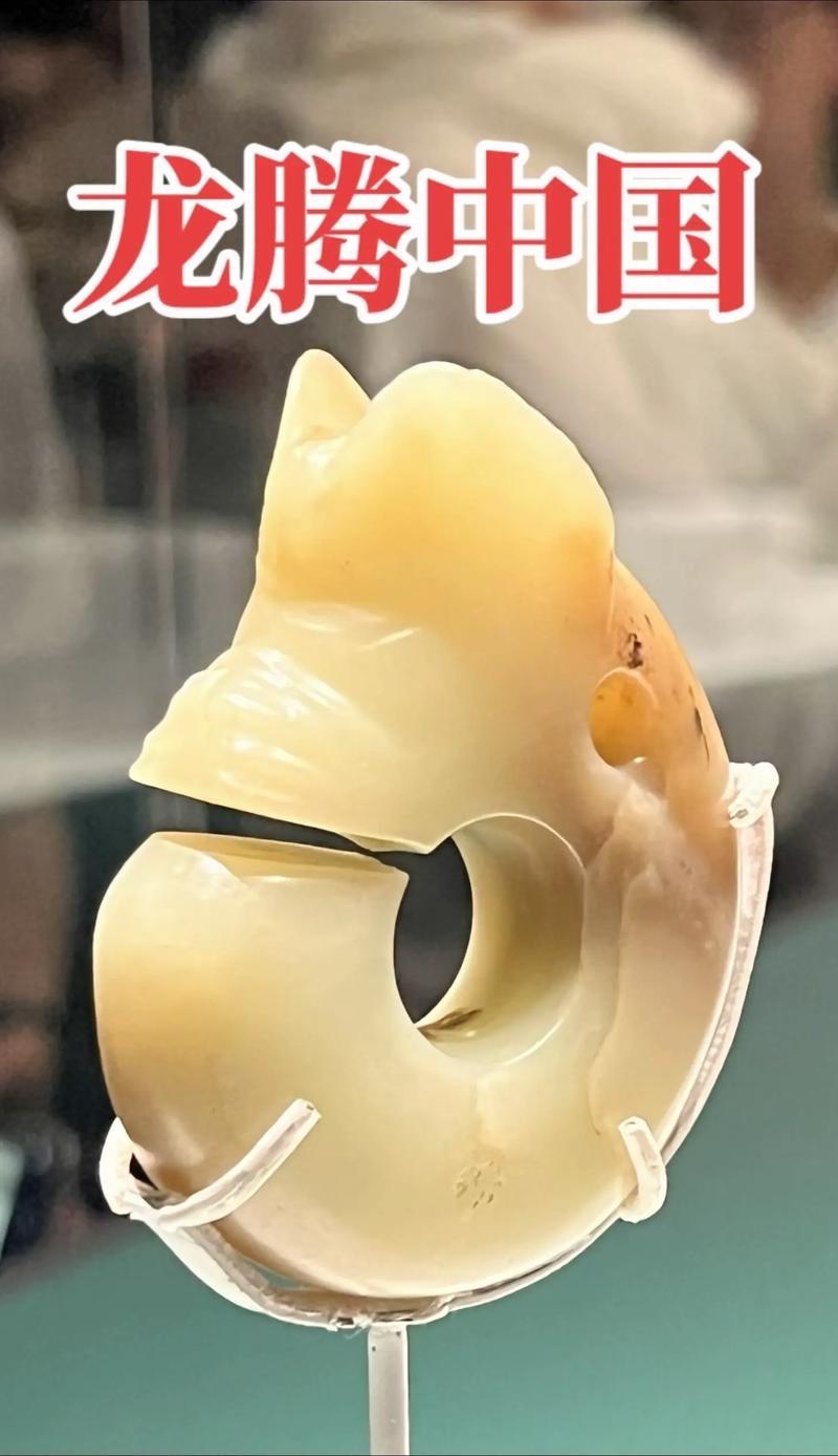 一、龙文化源头实证

它是目前考古发现的中华龙图腾最早雏形之一，直接影响了后世“