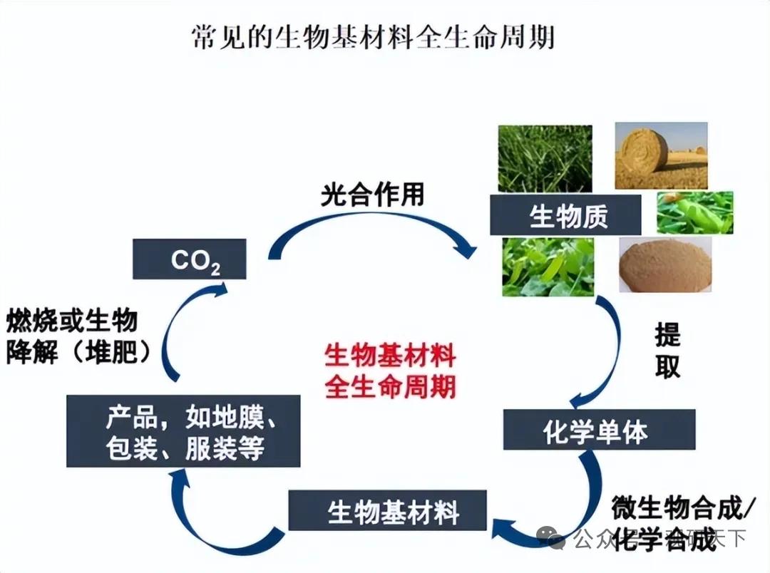 生物基材料切换市场驱动，行业加速洗牌，链主企业抢占先机
 
2025年我国生物基