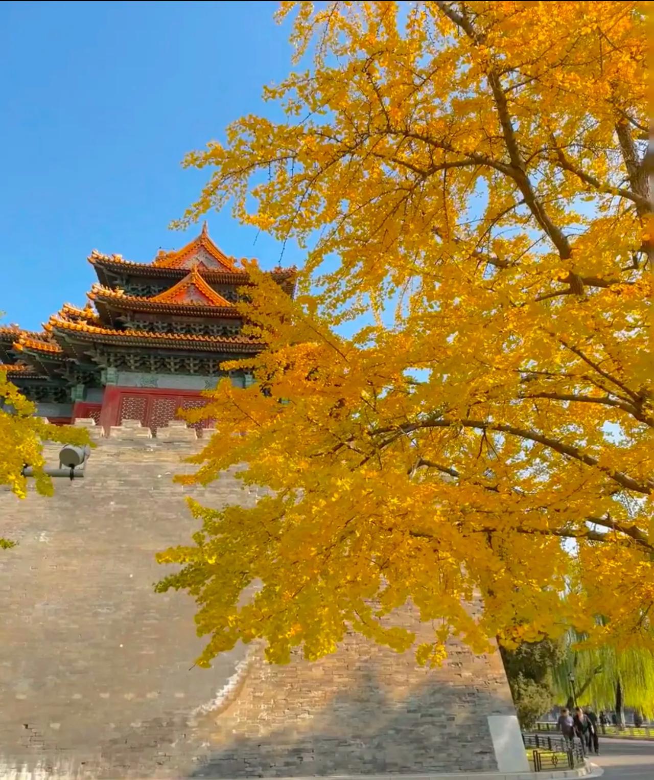 刚才看了一个美国黄石公园的vlog，黄石公园9000平方千米，有4个深圳那么大。