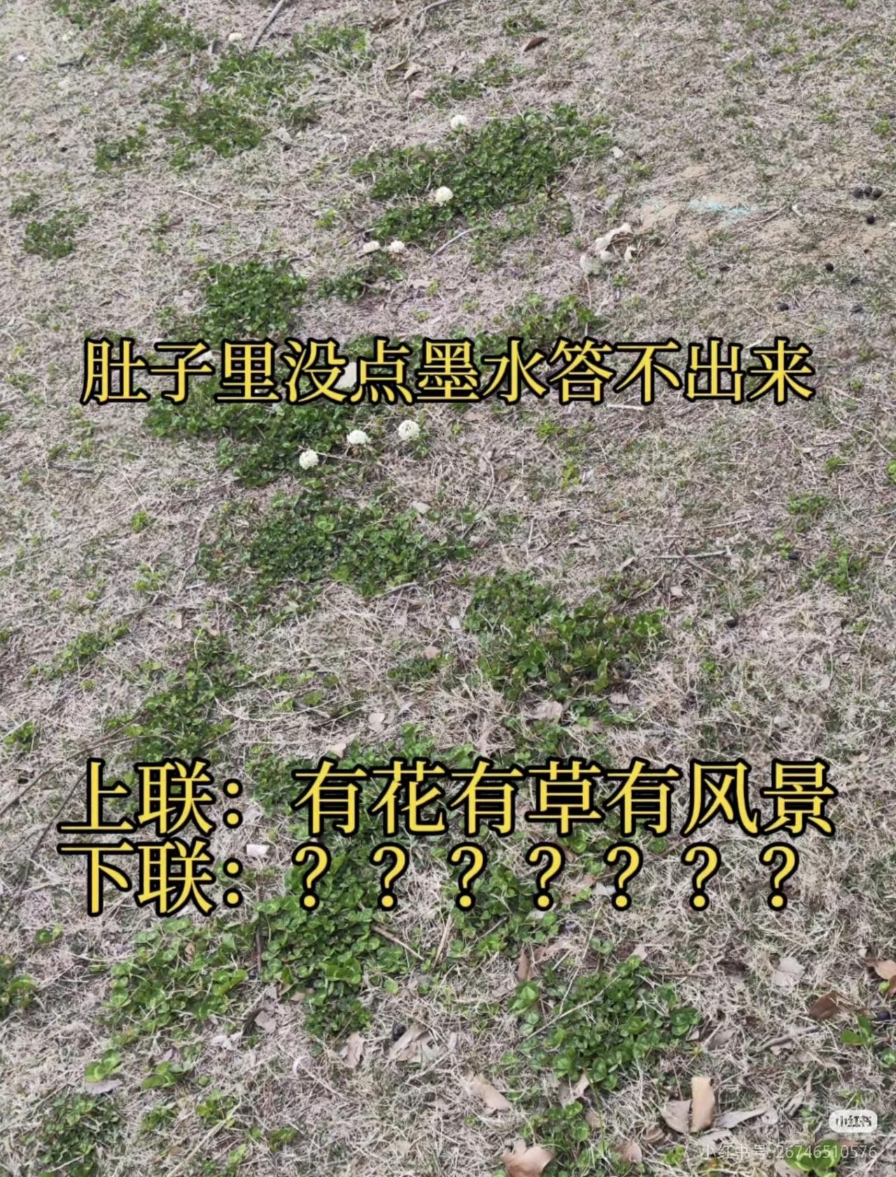 上联：有花有草有风景，
下联：？？？？？？？