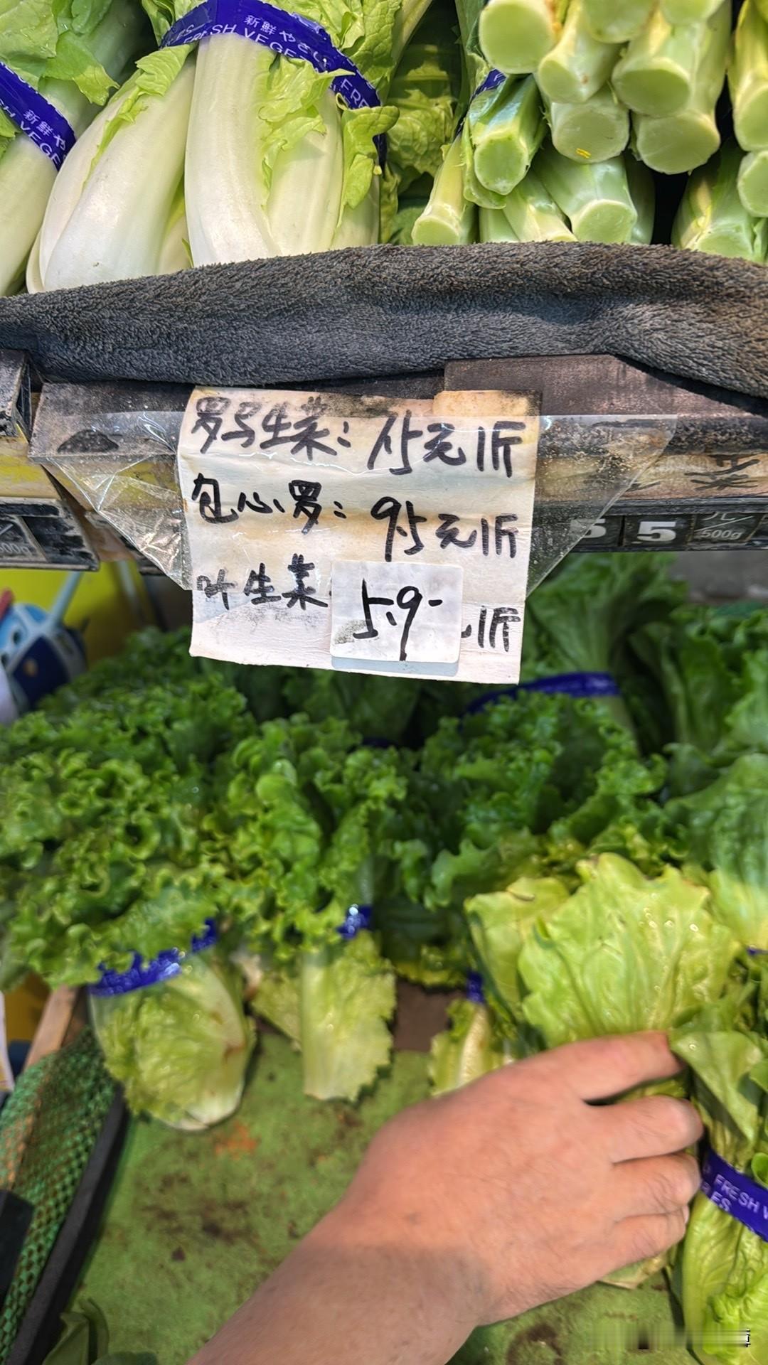 昨天晚上孩子说好想吃饼卷菜。
家里有吃饼卷菜的肉和其他菜，就是没有生菜，没有生菜