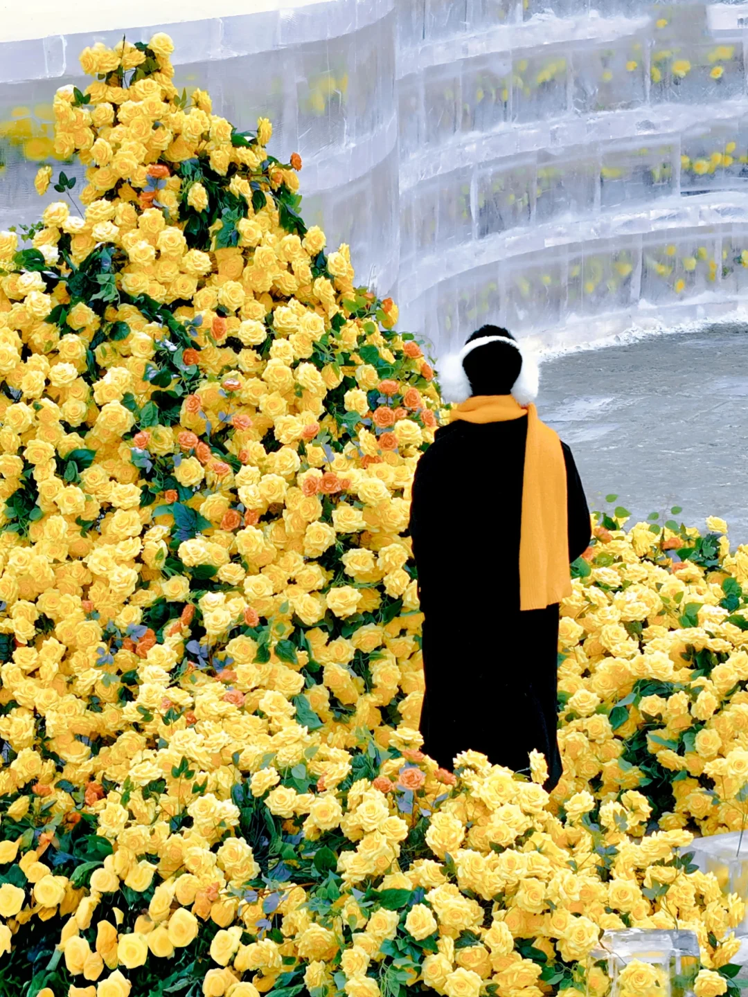 打卡神仙姐姐刘亦菲同款💛哈尔滨冰封玫瑰