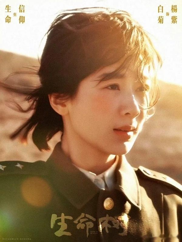 生命树 yz杨紫白菊yz杨紫生命树 你是仲夏的黄昏融化了炙热的爱意 你是春秋的黎