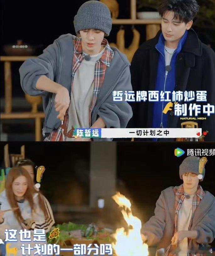 陈哲远做西红柿炒蛋把锅点着了陈哲远做菜翻车实录又添新梗！炒西红柿炒蛋点着锅，说好