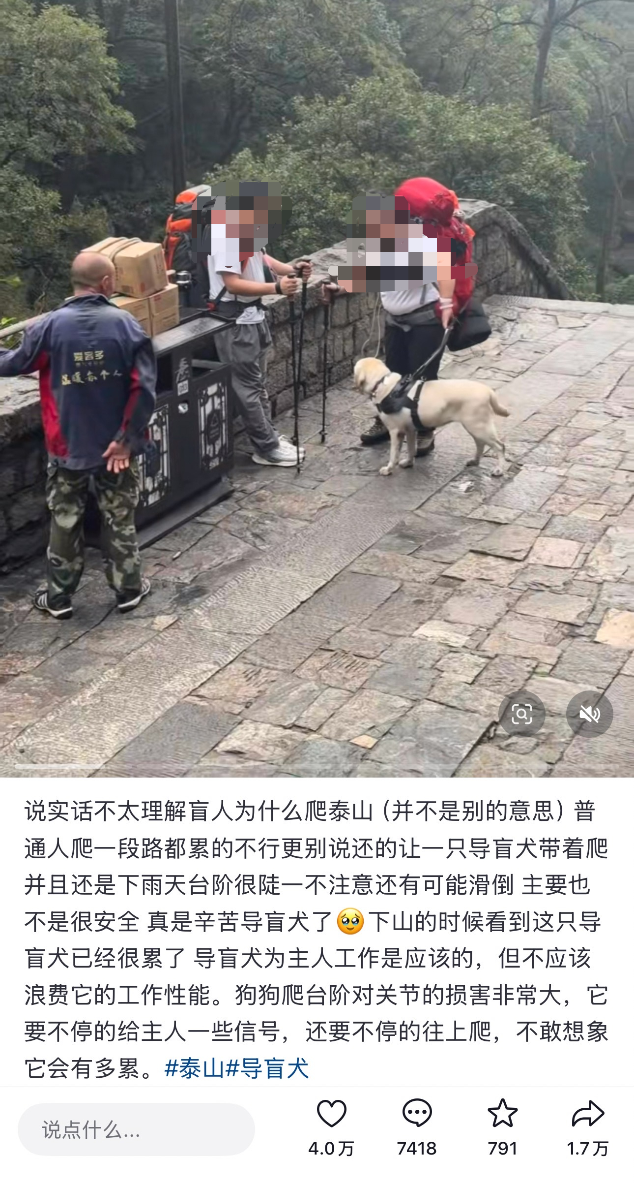 【#视障人士带导盲犬爬泰山引争议#，#带视障人士爬泰山的导盲犬被收回#】近日，一