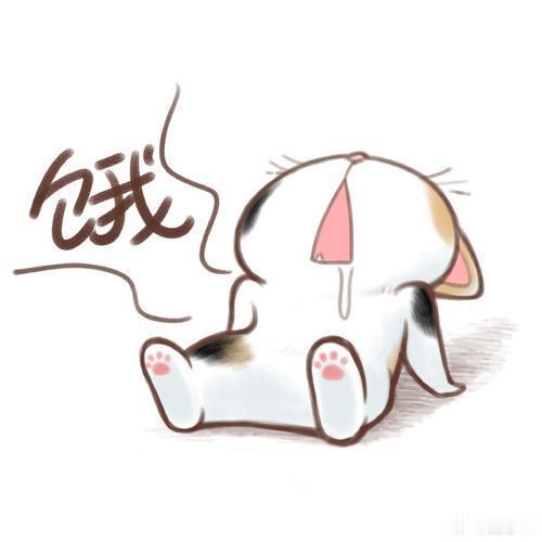 肚子好饿，好想吃，已经12点，不能吃，会长肉，睡觉睡觉，睡着就不饿了，我就想问问
