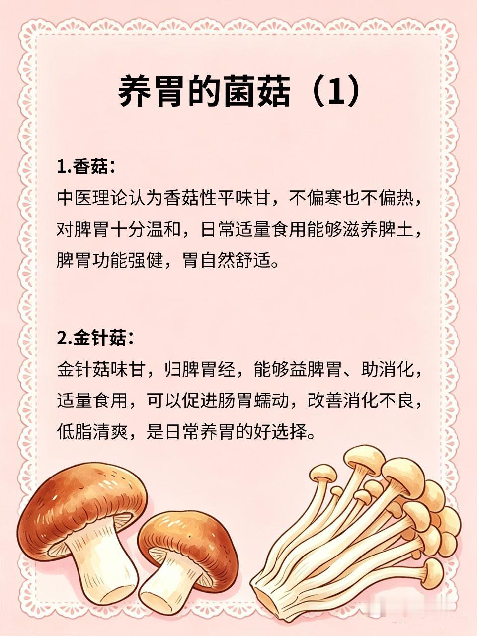 普通菌菇，健脾养胃食疗好物
日常常见的各类菌菇，不仅口感鲜美，更是健脾养胃的食疗