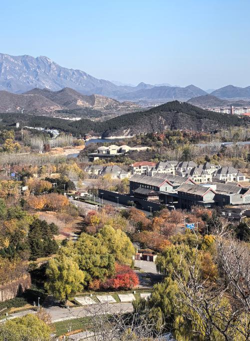 日本一共有三个邻国，分别是中国，俄罗斯和韩国。而目前，日本与中俄韩三国，都有严重