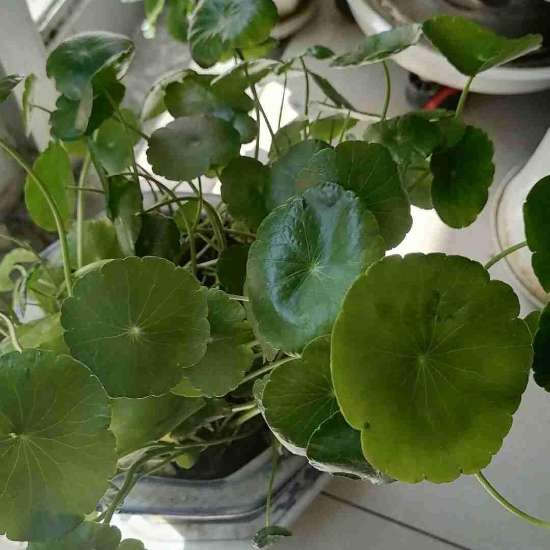 我的今日状态：😁轻松愉快
我这里的天气：☀️晴天