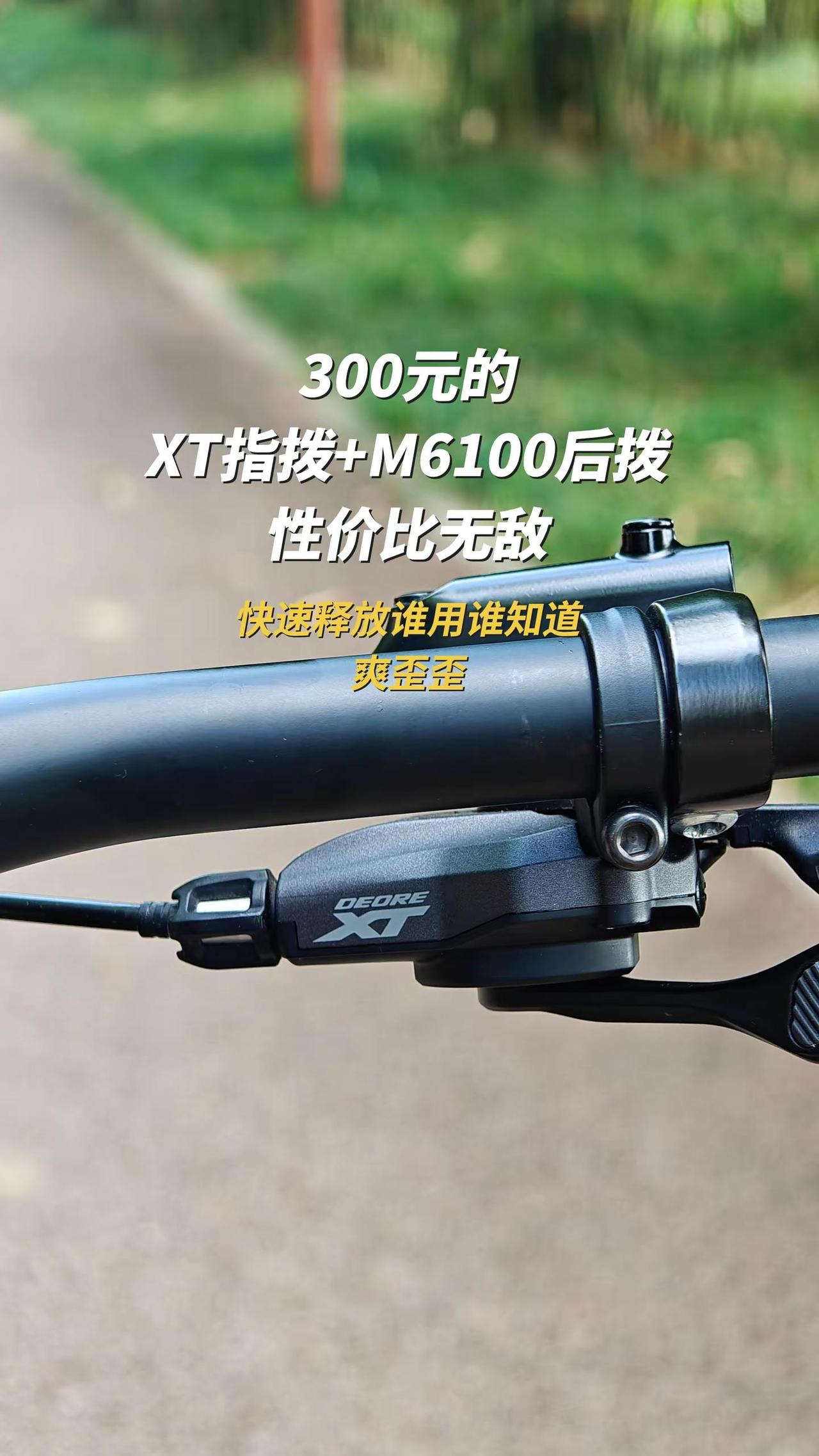 300元的禧玛诺XT指拨+M6100后拨组合性价比无敌，谁用谁知道。禧玛诺 山地