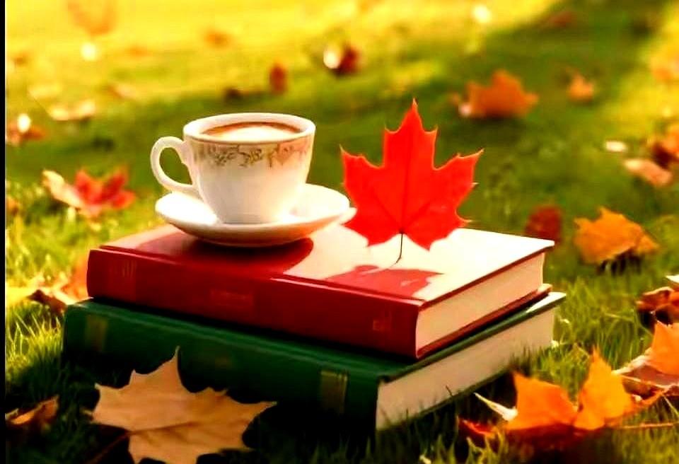 我今天辞了个保姆。
她找借口说房间吵，转头就直接开口要住进我主卧旁边的大客卧，盘