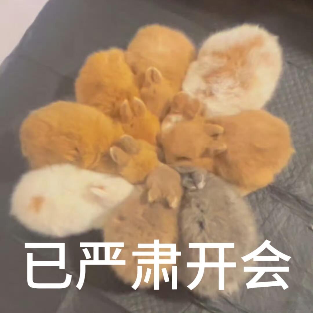 资生堂品牌挚友李沛恩 嘿！我在星品影响力上邂逅了一个疯狂心动的星品——