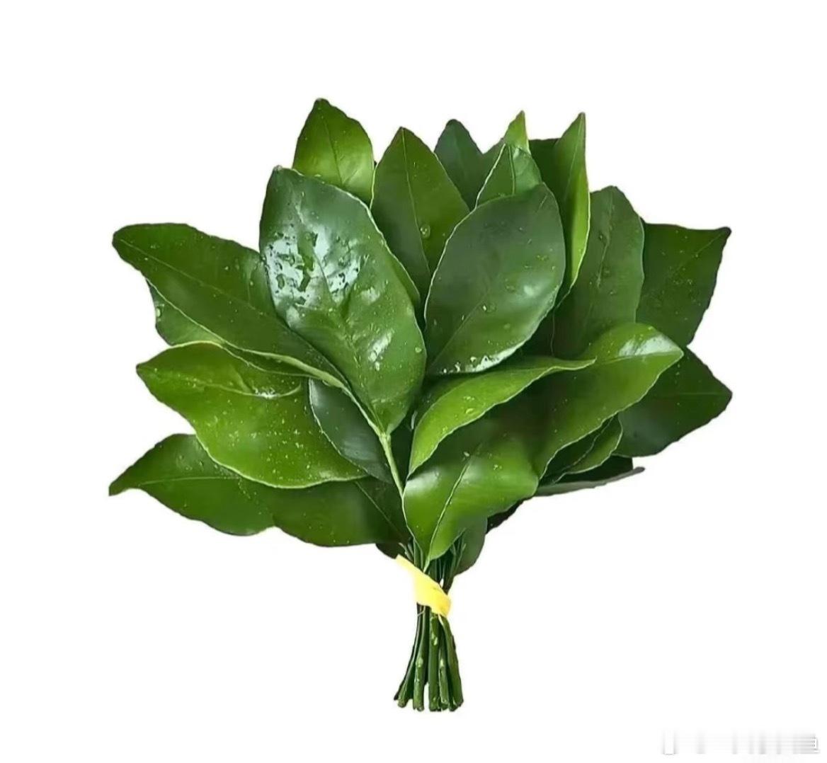 给驱赶脏东西🌿 ​​​