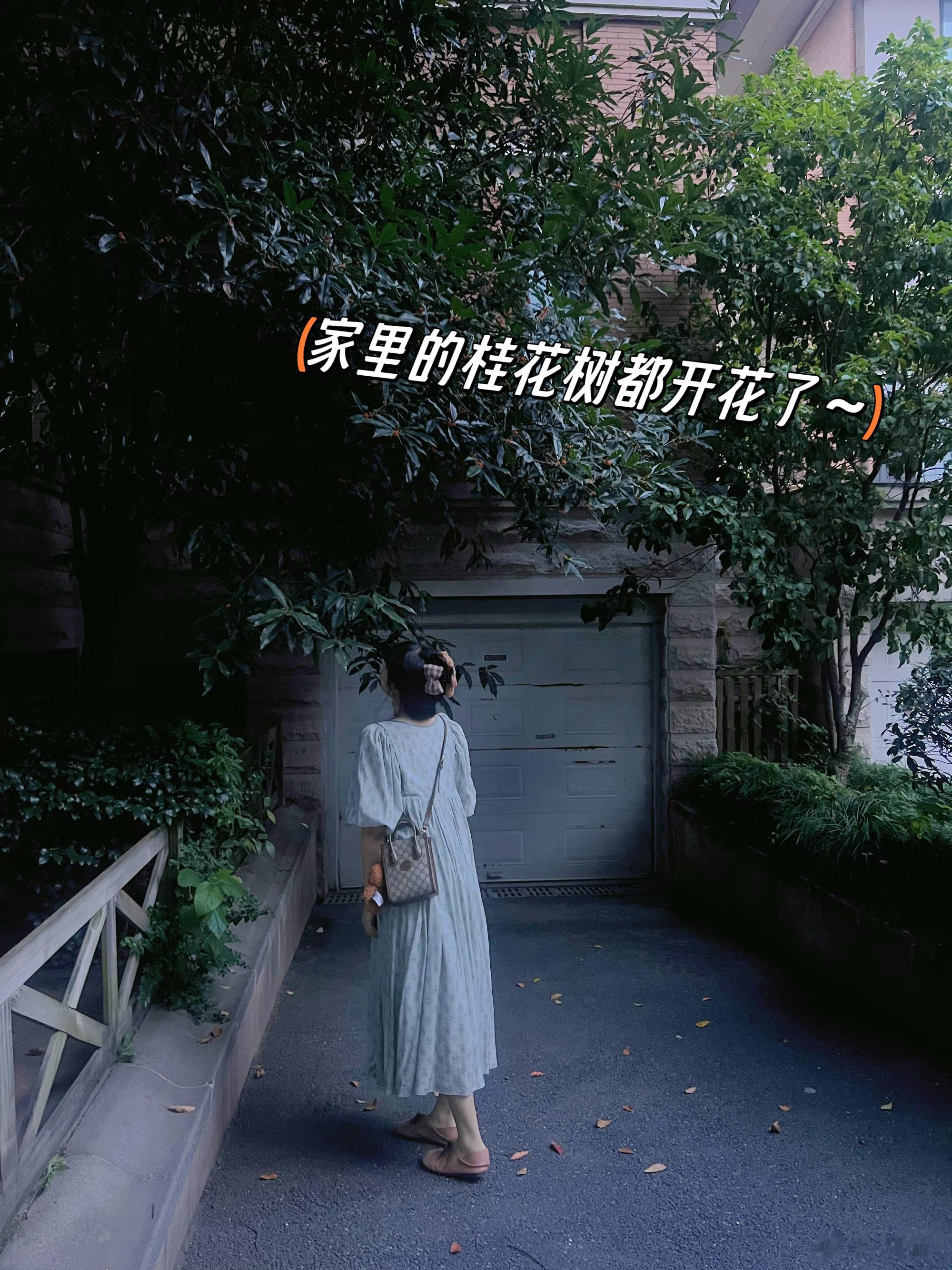 8-9月的plog最近恢复了一些活力[跪了]稍微热爱生活一丢了～#阿音的日常# 
