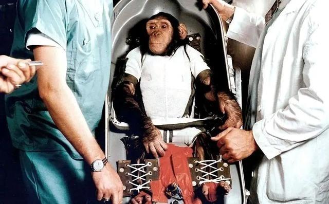 1961年，美国将一只黑猩猩送上了太空，16分钟回到地球以后，发现他没啥毛病，还