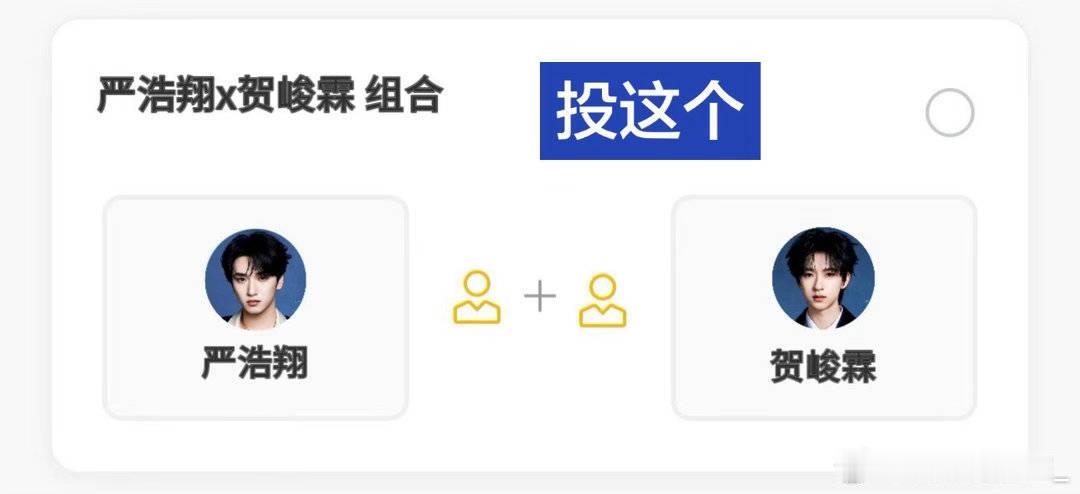 我只投这个 