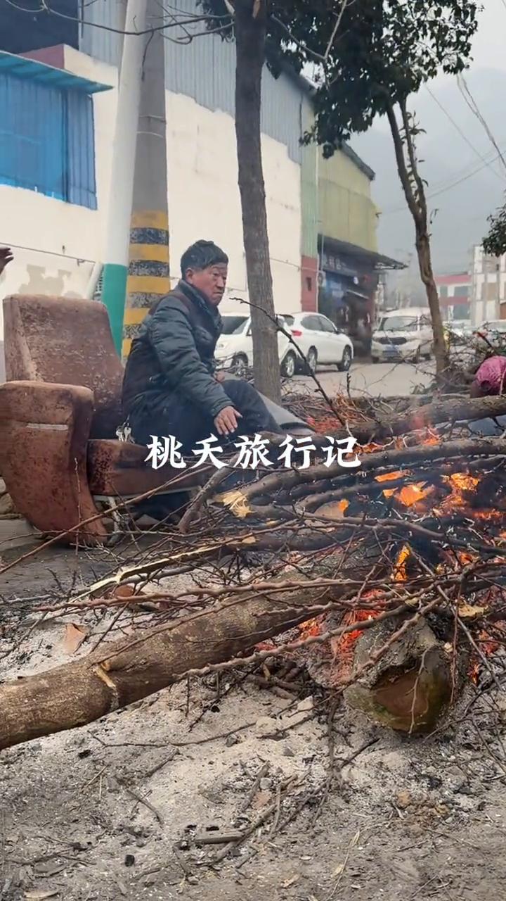 桃天旅行记。
桃天旅行记。