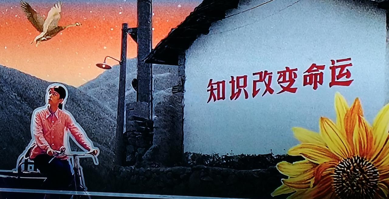 今天刷到一部剧，是讲现代女孩穿越到80年代，故事情节还挺励志的：女孩摆脱原生家庭