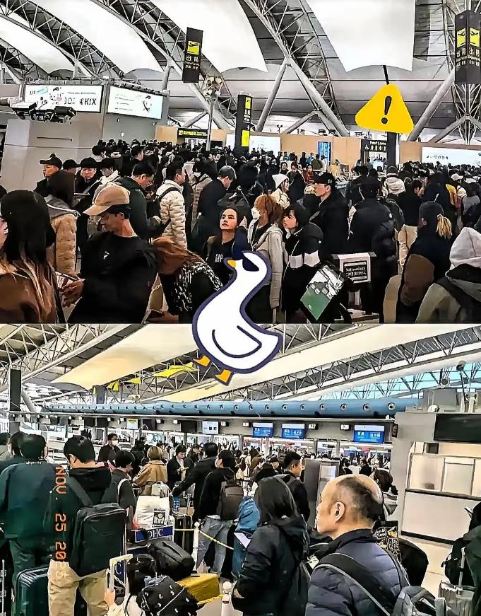 傻眼了吧，赴日旅游这就是不听劝的后果，去的潇洒，想回来可不容易了。航班取消买不到