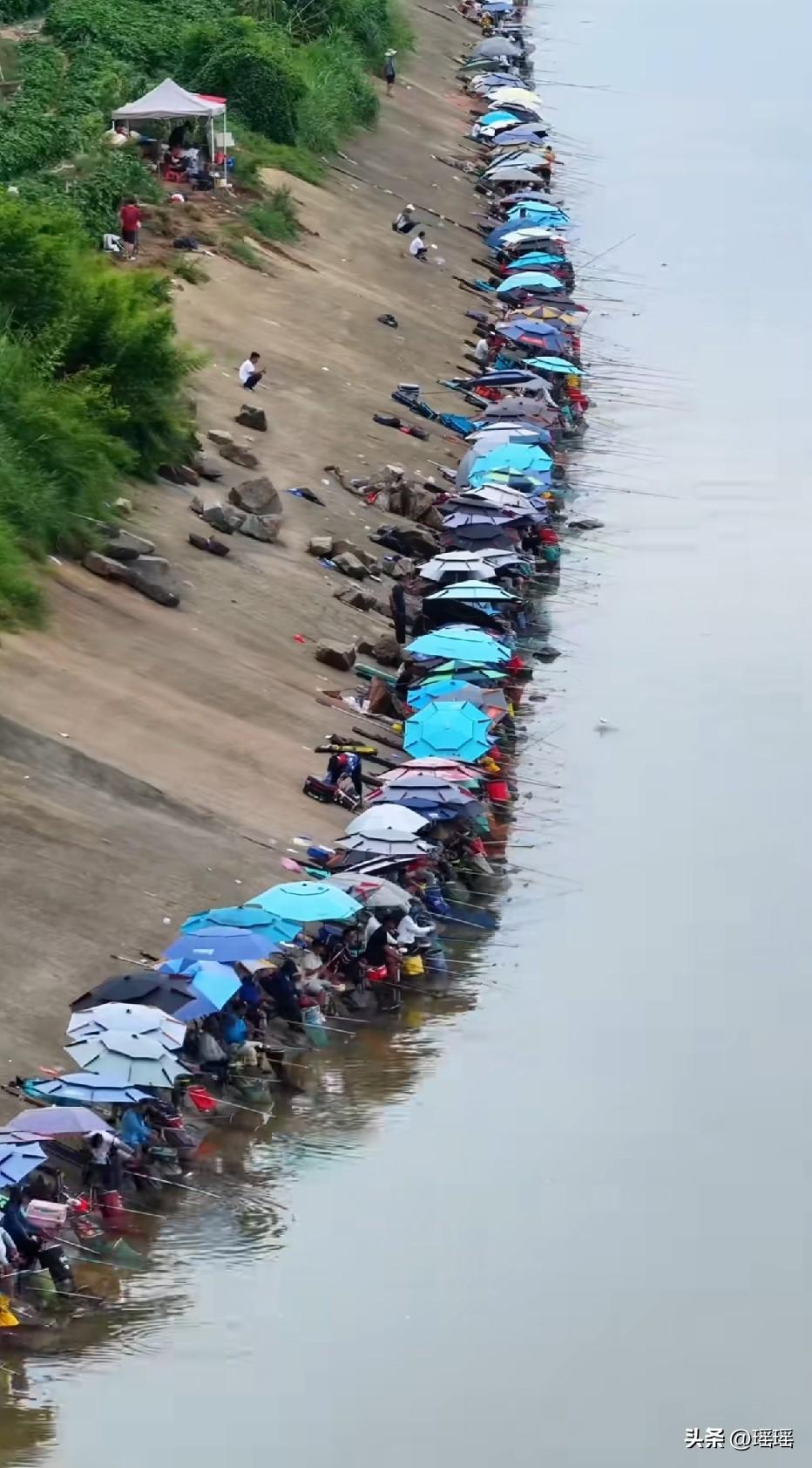 真羡慕他们都不用上班的[流泪]