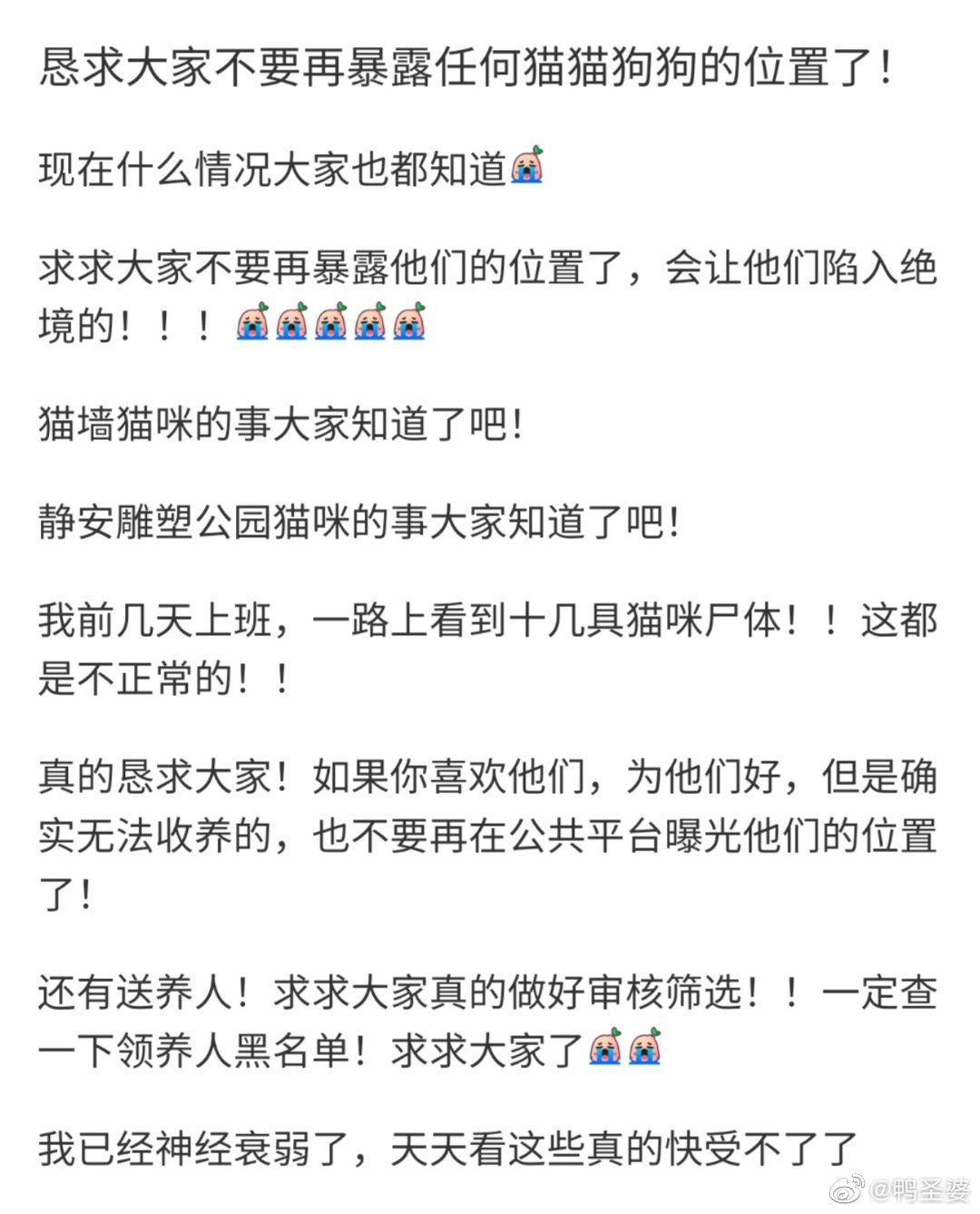 -大家看看这个！！！不要再暴露猫猫狗狗的位置了，“一路上看到十几具猫咪尸体”，简