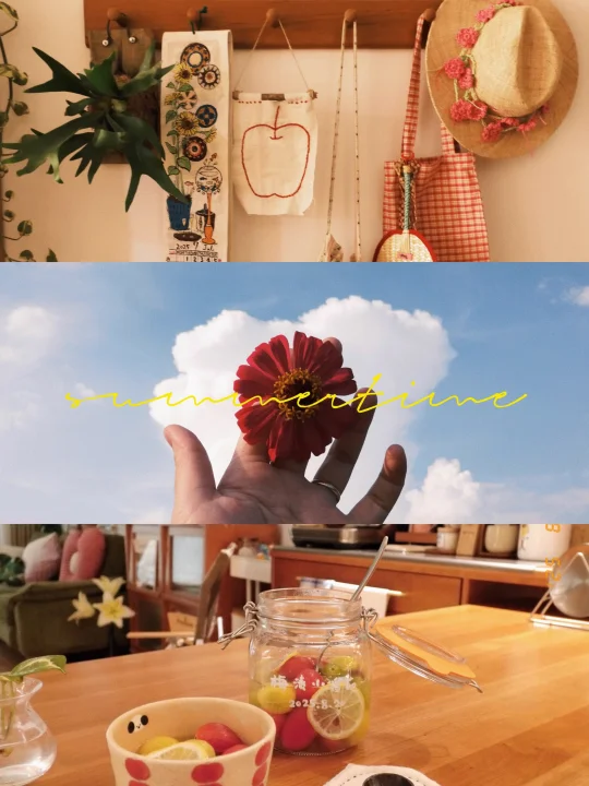 富士xhalf丨胶片里的生活记录 🍅