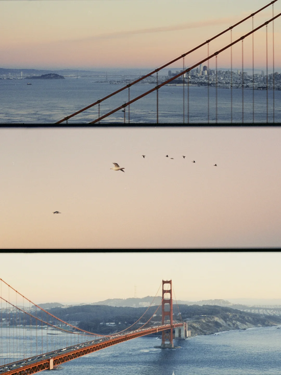 California Dreaming