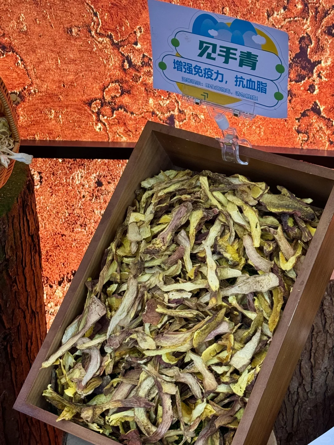 卧卧卧卧x！😭上海人秋冬养生请直奔这里