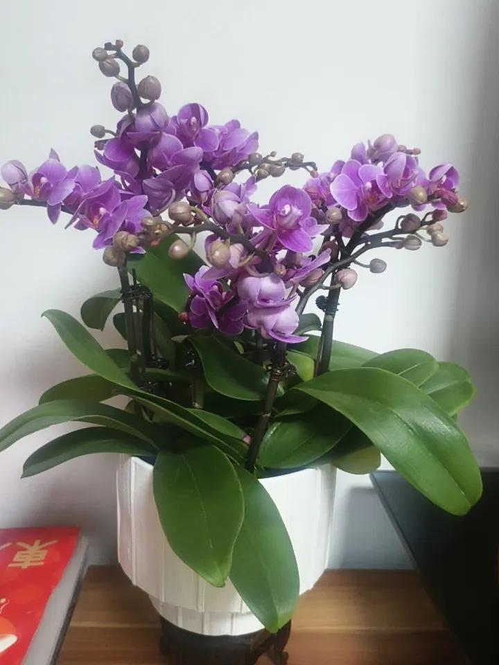 今天出门，漫步在街道上，发现路边超过一半的门店都关了门，路上行人寥寥无几，整个地