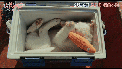 姥姥的外孙团队新作心犬相随定档 没有人能拒绝可爱狗狗，好可爱温暖的电影啊。预告里