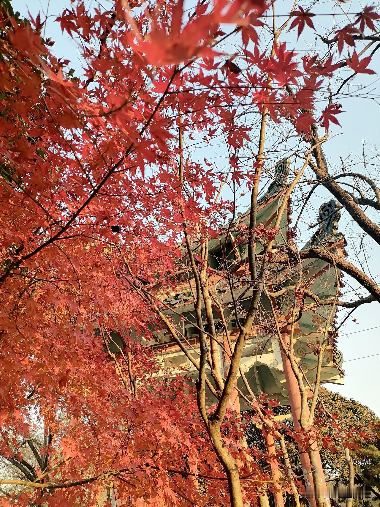 冬日生活打卡季