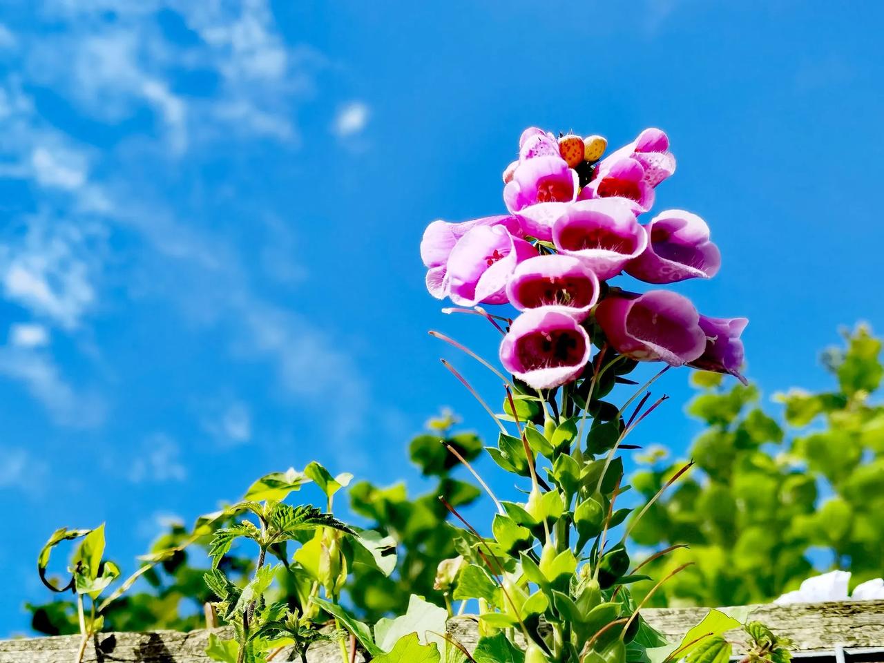 常用换位思考的人，一般不对他人求全责备！#学会换位思考，# #人对人的方法# #