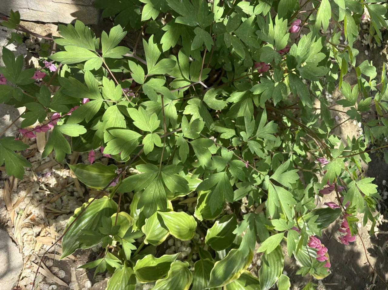 晒图笔记大赛随手拍风景