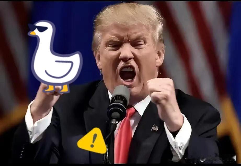 美国突然宣布了
美国特朗普政府表示，将因中国“以不合理方式追求半导体产业主导地位