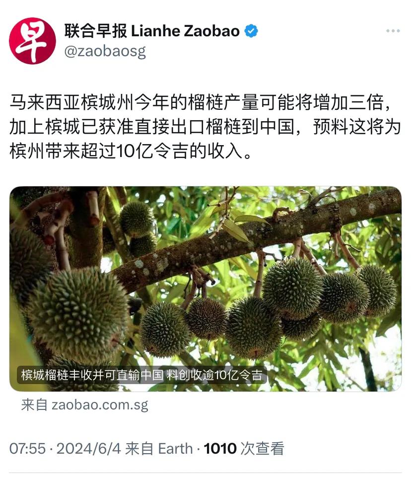 新加坡联合早报今天（6月4日）报道：“马来西亚槟城州今年的榴梿产量可能将增加三倍