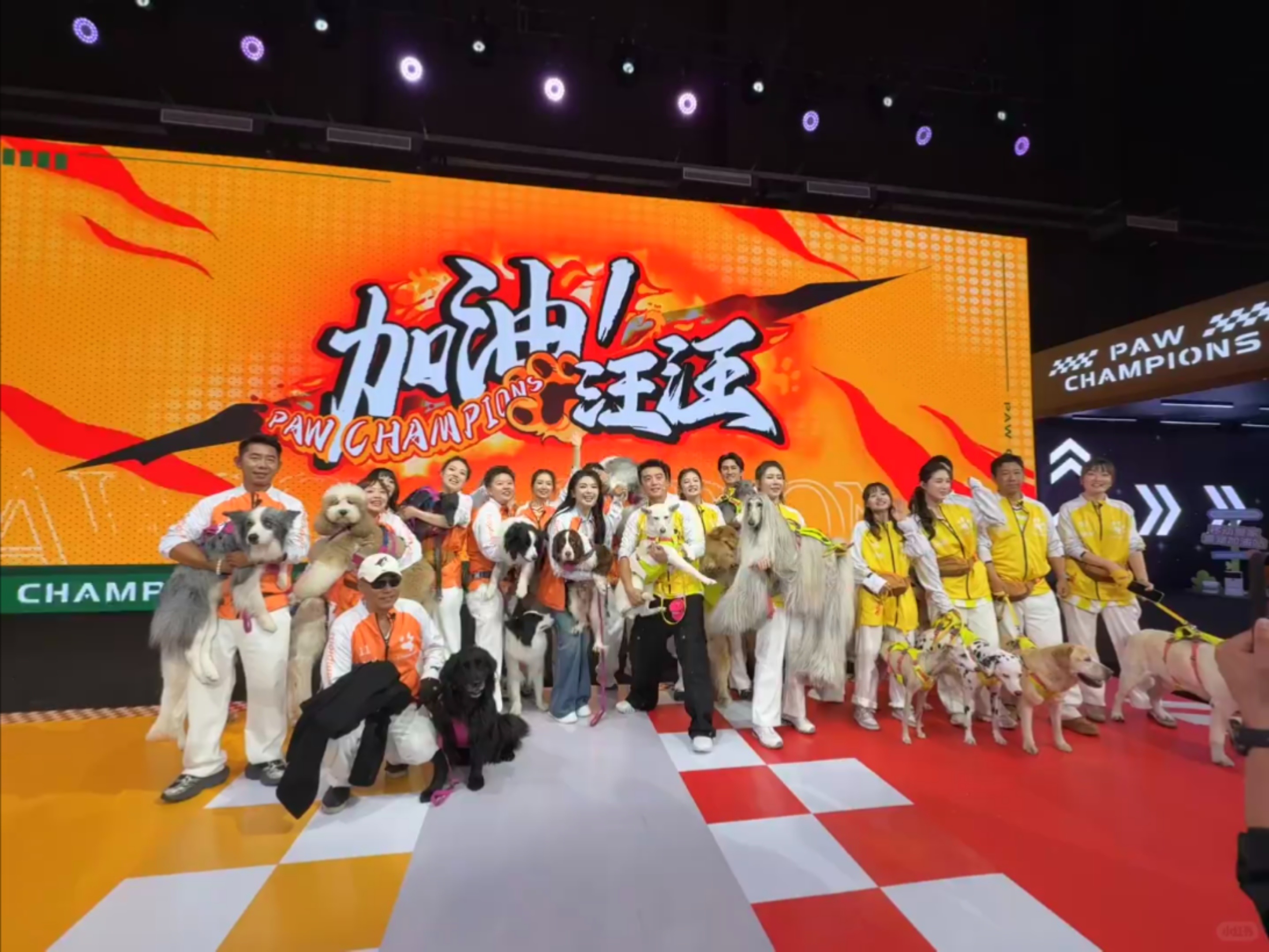 查理妈刘涛女士抱着个煤气罐还能喊这么大声