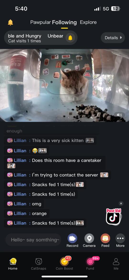 求一位能上午在南京鼓楼区蹲守小猫的姐妹