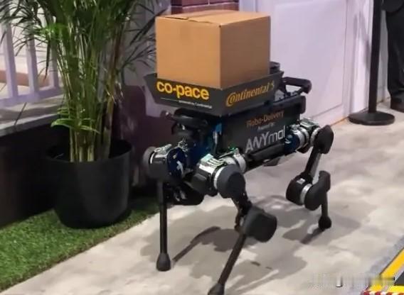 尴尬！近日，在印度举办的“人工智能影响力峰会”上，一所印度大学，将中国的一款四足