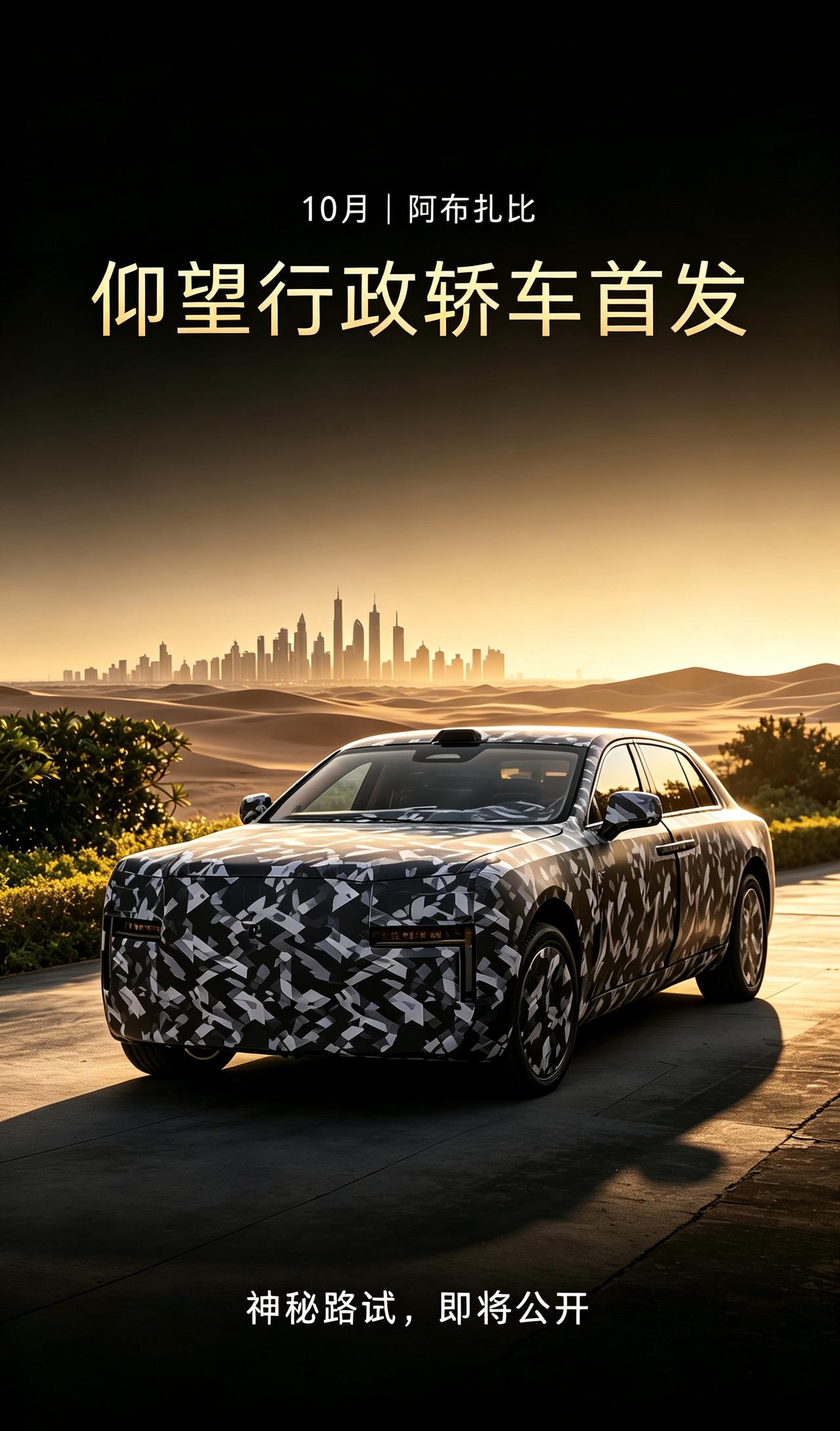 仰望行政轿车，国内外双线推进
