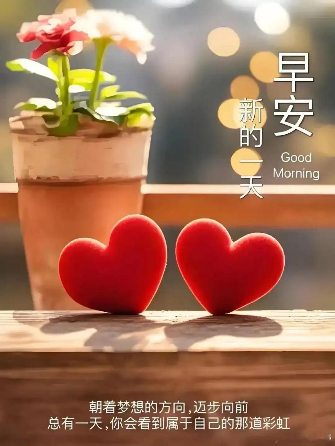 早上好，宝们！点赞打卡养成金粉体质新的一周，全新的起航，评论区见真章！ 