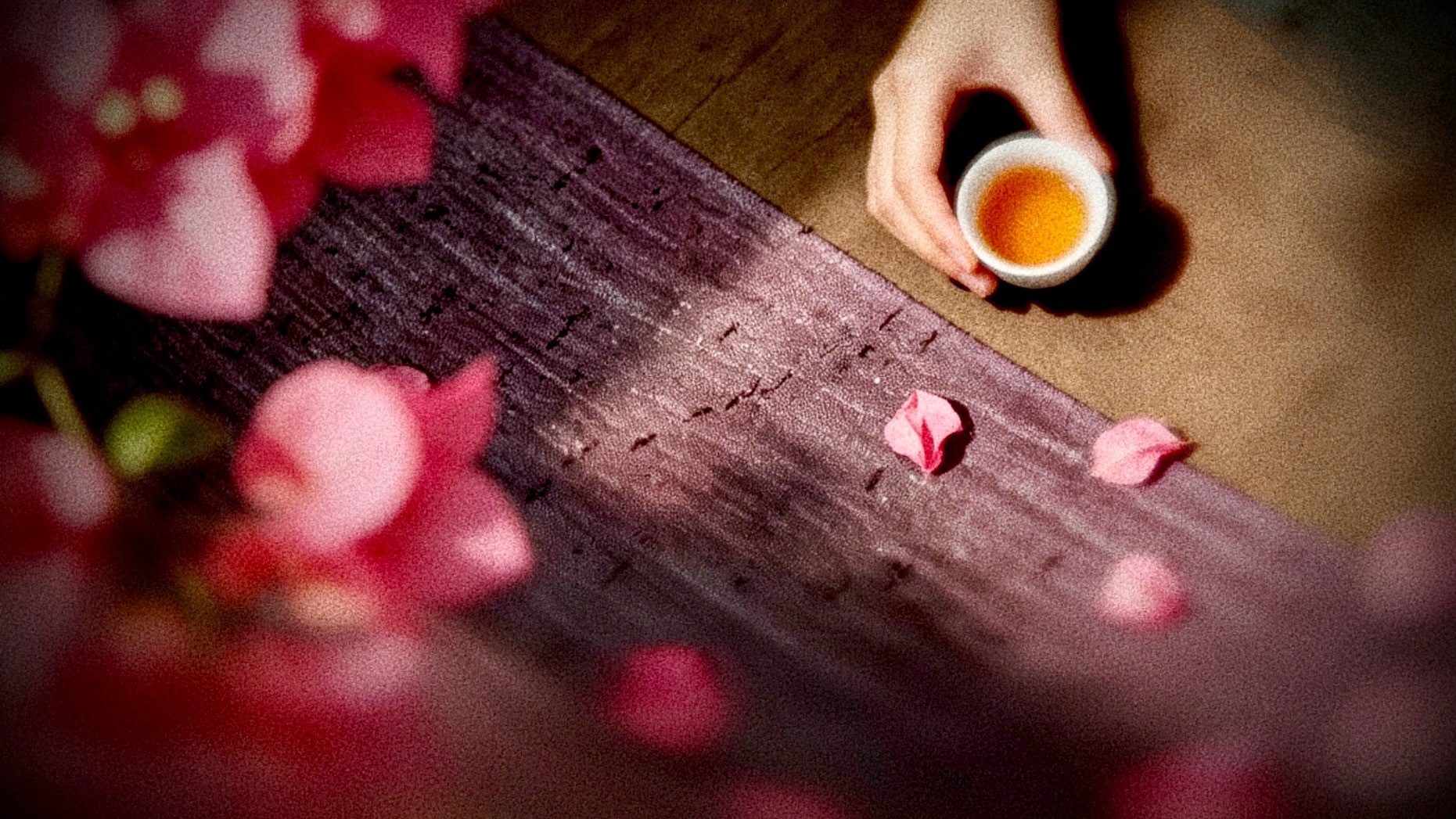 点绛唇·赏梅吃茶问谁不是，平生最难降心魔。低吟浅啜，静看梅花落。地网天罗，难缚闲
