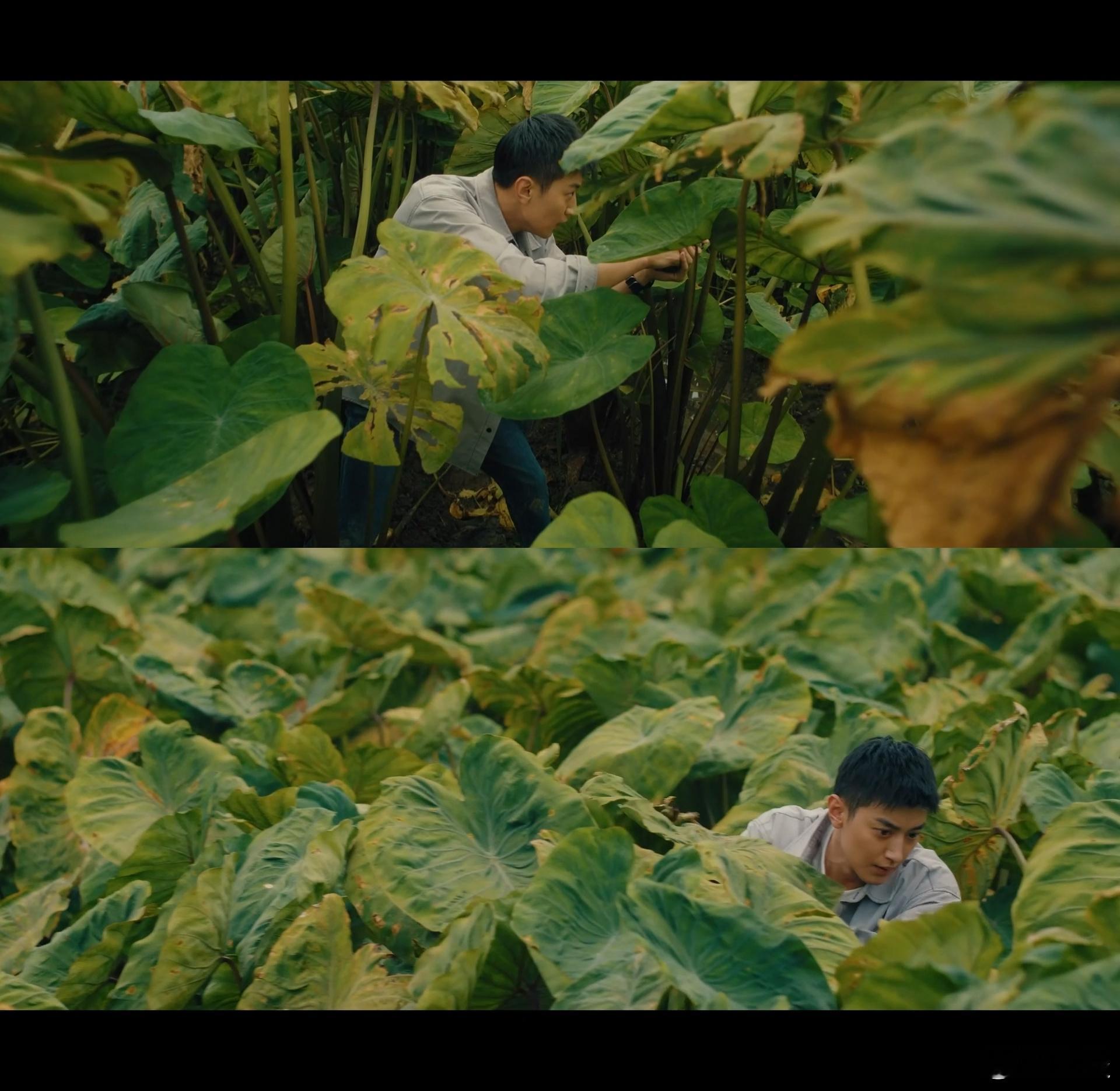 看王宥钧除恶这段观众可以呼吸 全程高能无尿点！王宥钧用细腻演技撑起这段高光戏，危