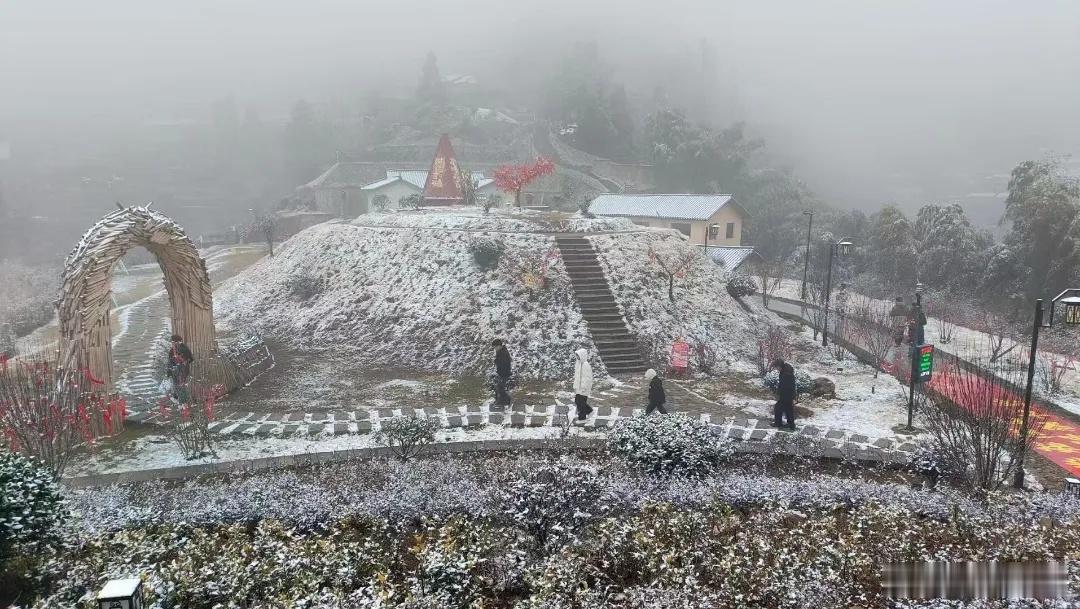 云和梯田蛇年初雪  瑞雪兆丰年，这也是乙巳蛇年云和的第一场雪。屋顶上、草丛边、田